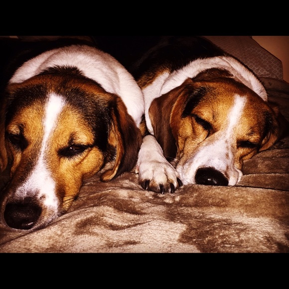 Meet your Posher, Carolyn - Picture 3 of 3