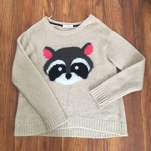 Raccoon sweater