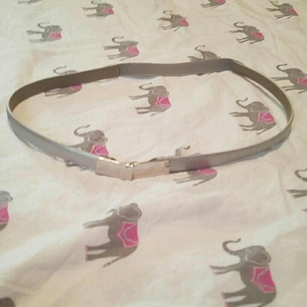Banana Republic Silver Belt