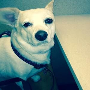 Meet your Posher, Beth