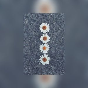 Meet your Posher, Kaitlyn