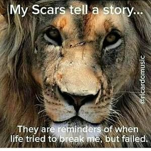 Meet your Posher, Clair