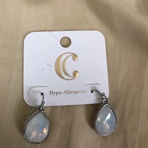 Charming Charlie Earrings - hypoallergenic