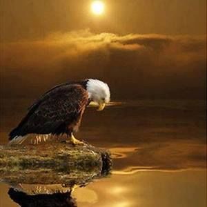 Meet your Posher, Noemi