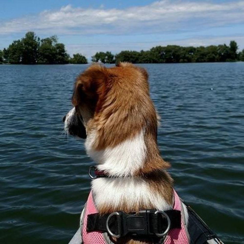 Meet your Posher, Trish