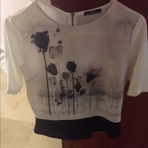 ZARA Blouse