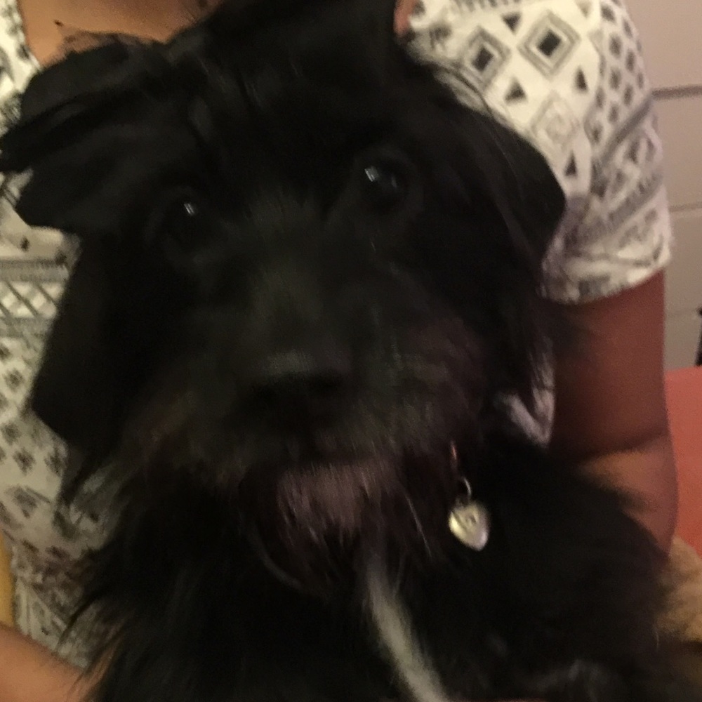 Meet your Posher, Jenabri