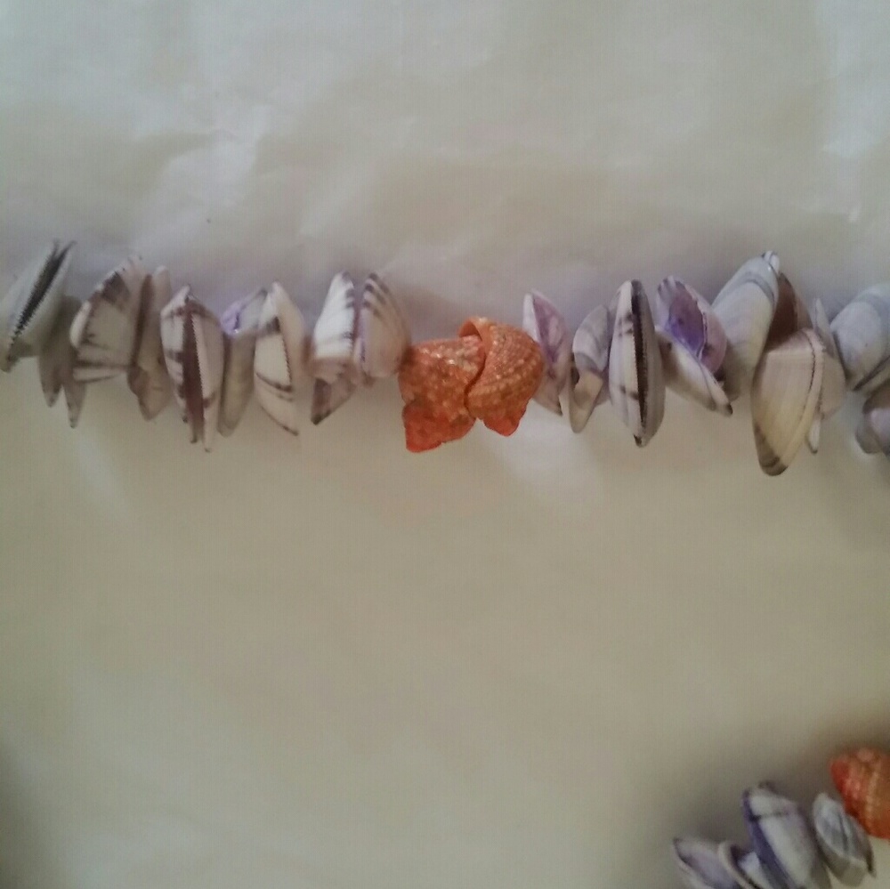 Shell necklace - Picture 3 of 3