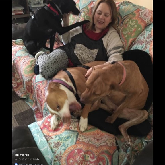 Meet your Posher, Sue - Picture 3 of 3