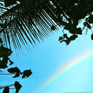 Meet your Posher, Katerina elise