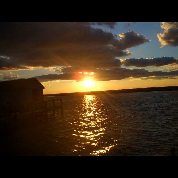 Meet your Posher, Nina - Picture 2 of 2