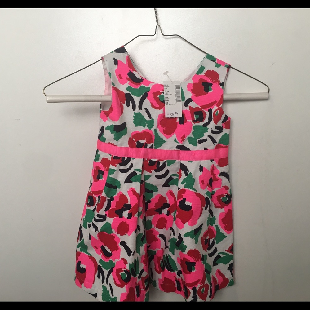Girl's Children's Place Dress  SZ 2T NWT