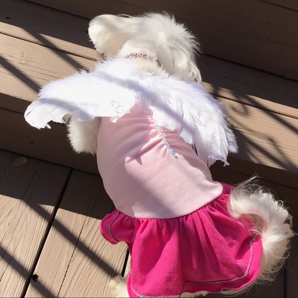 🌟NIP: PET/BABY WINGS PHOTO OPP COSTUME PROP☁👼🏻☁ - Picture 8 of 8