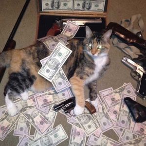 Meet your Posher, Bryant