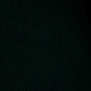 Meet your Posher, Oscar