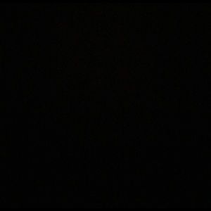 Meet your Posher, Bella