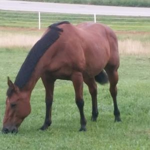 Meet your Posher, Joanie