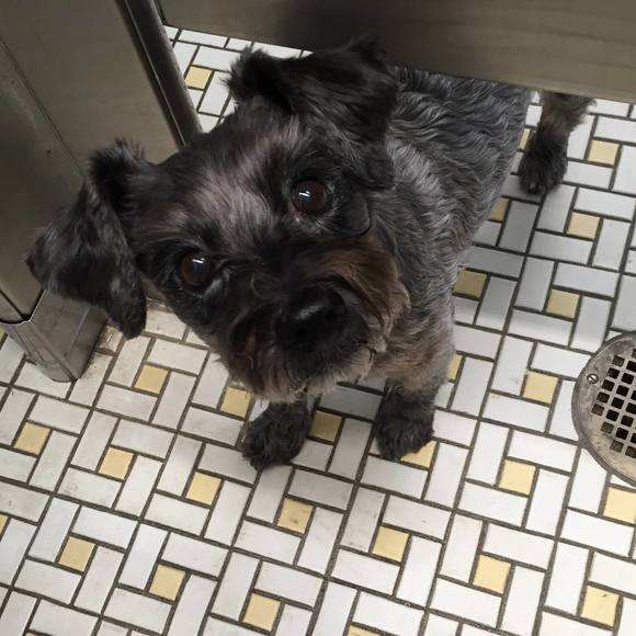 Meet your Posher, Lynne - Picture 1 of 1