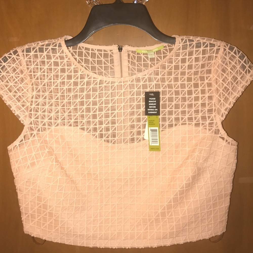 NWT GIANNI BINI TOP