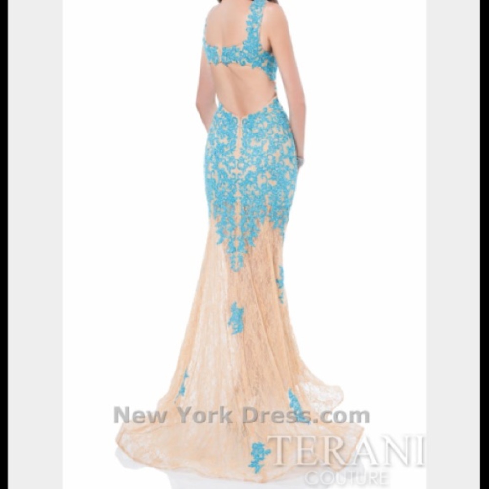 Terani dress