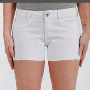 Articles of society shorts