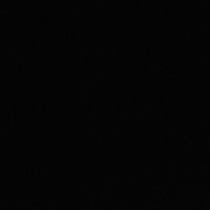 Meet your Posher, Jesus