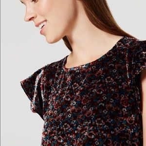 NWT LOFT Velvet Flutter Dress