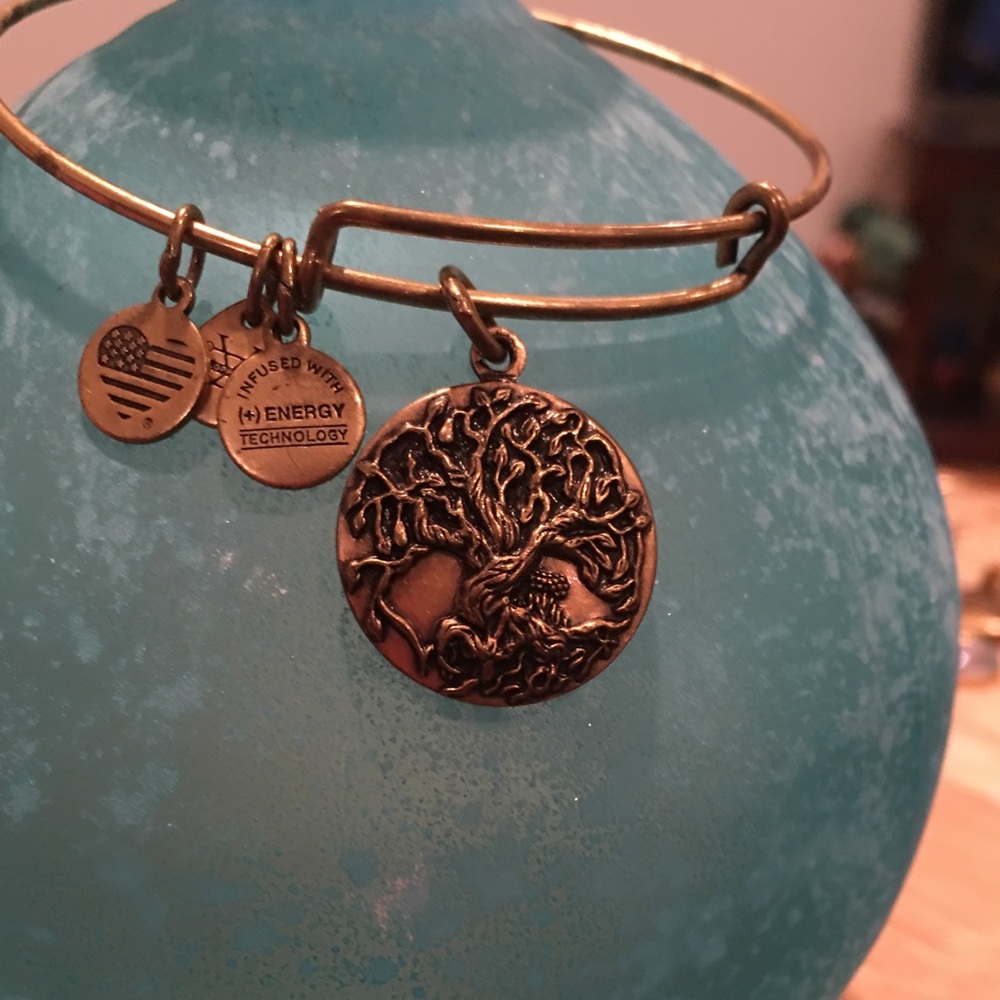 Alex and Ani "Tree of Life" bracelet