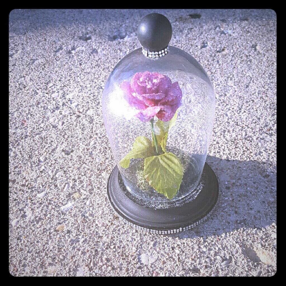 beauty and the beast rose