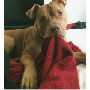 Meet your Posher, Jenifer