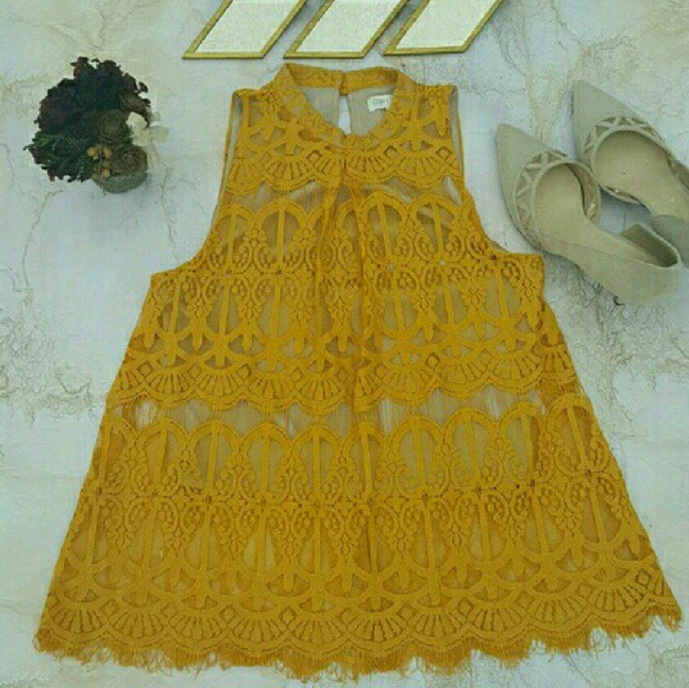 Gorgeous Lace Blouse