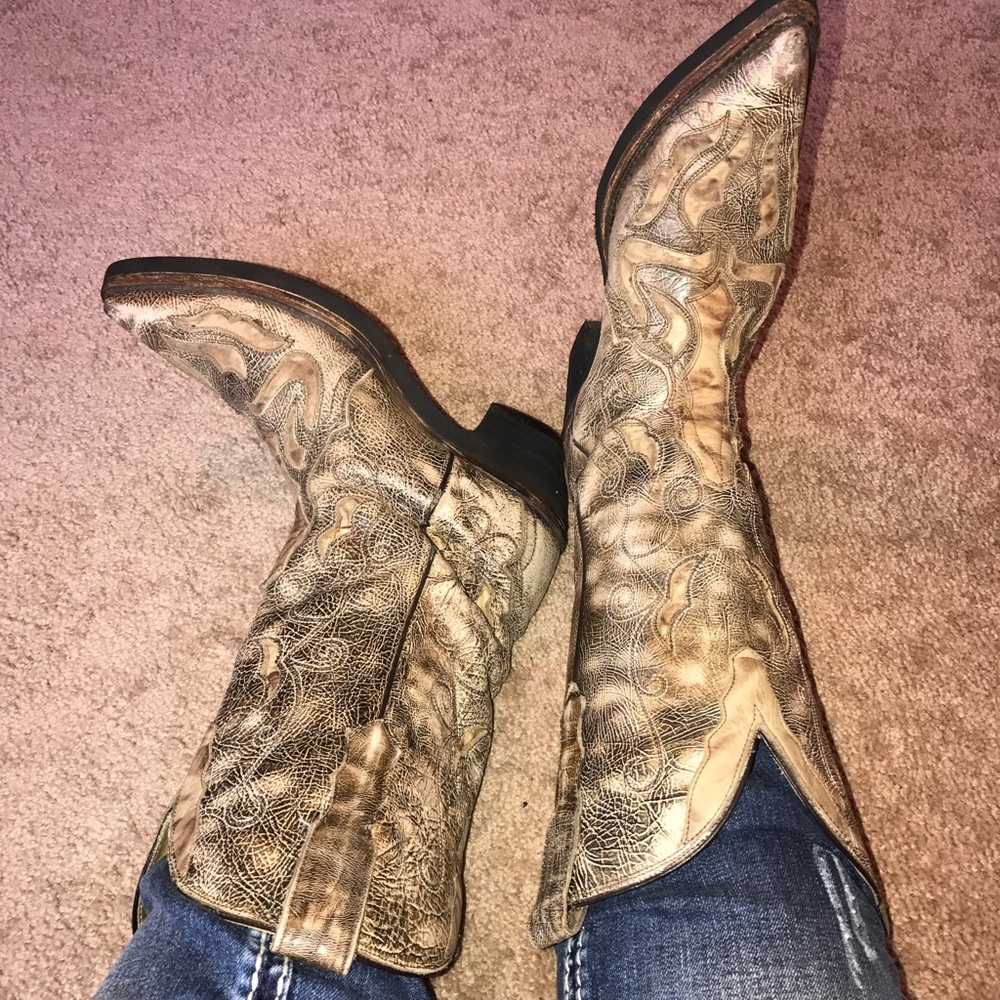 TAKING TO PLATOS TODAY! OFFERS ACCEPTED!