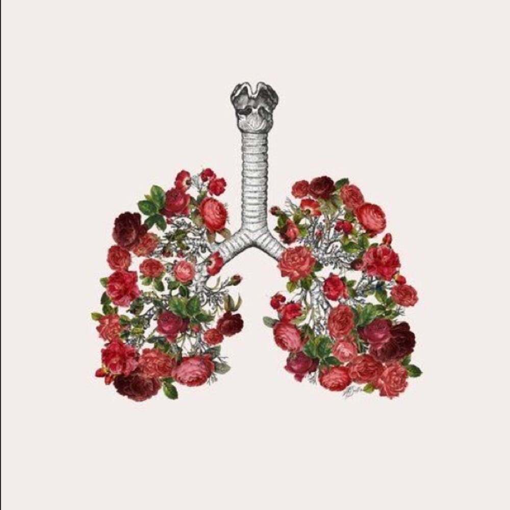 Swap Philosophy and VS items :)