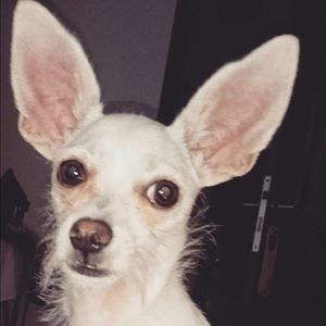 Meet your Posher, Martin