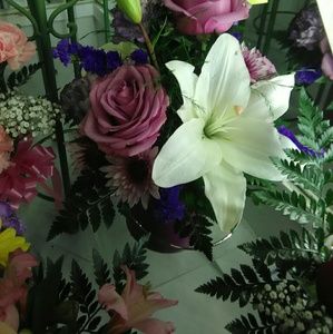 Meet your Posher, Annmarie