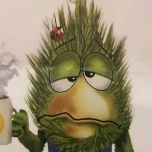 Meet your Posher, Darylle