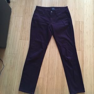 Ann Taylor plum velvet pant