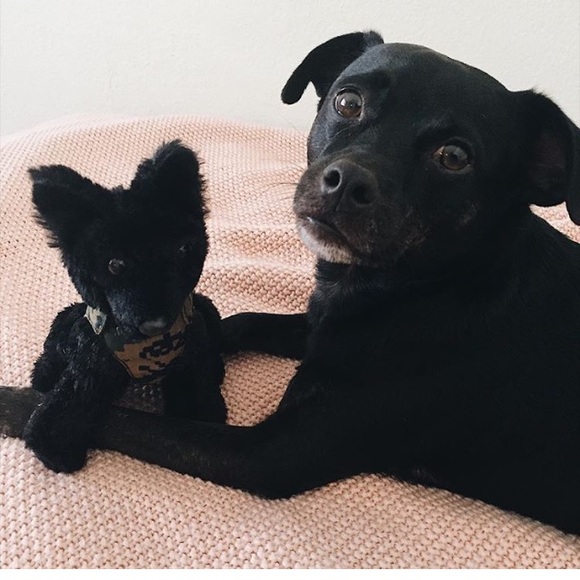 THE MORE YOU KNOW💡 - Picture 2 of 3