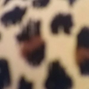 Meet your Posher, Bobby