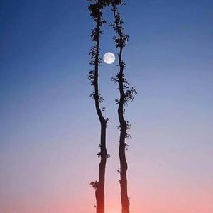 Meet your Posher, Dan