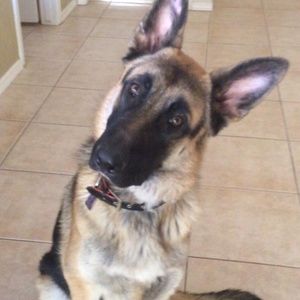 Meet your Posher, Dana