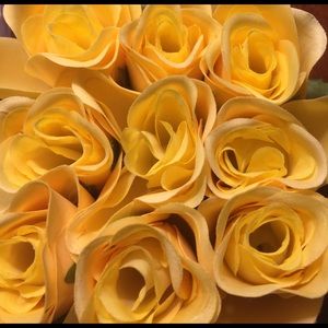 Meet your Posher, Mary ann