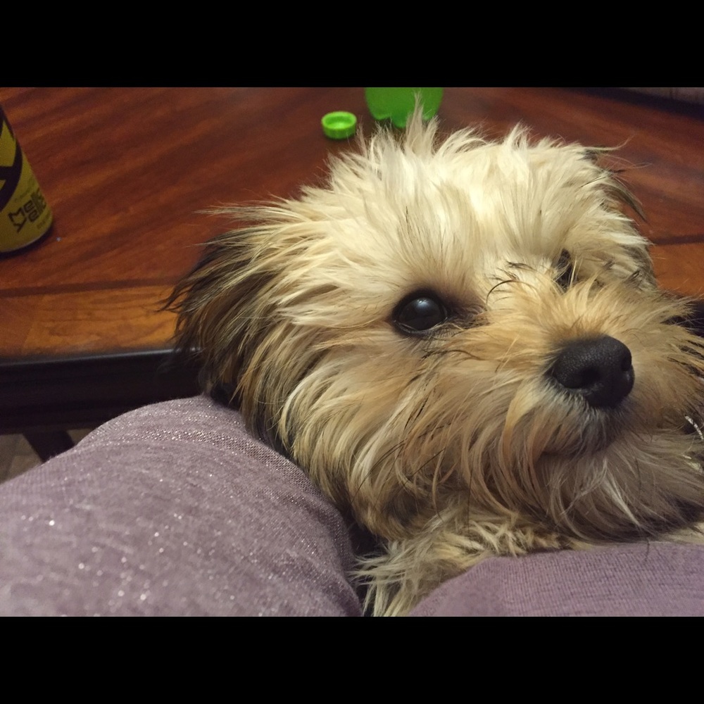 Meet your Posher, Angie