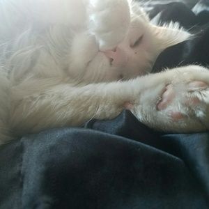 Meet your Posher, Ireland