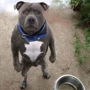 Meet your Posher, Derrick