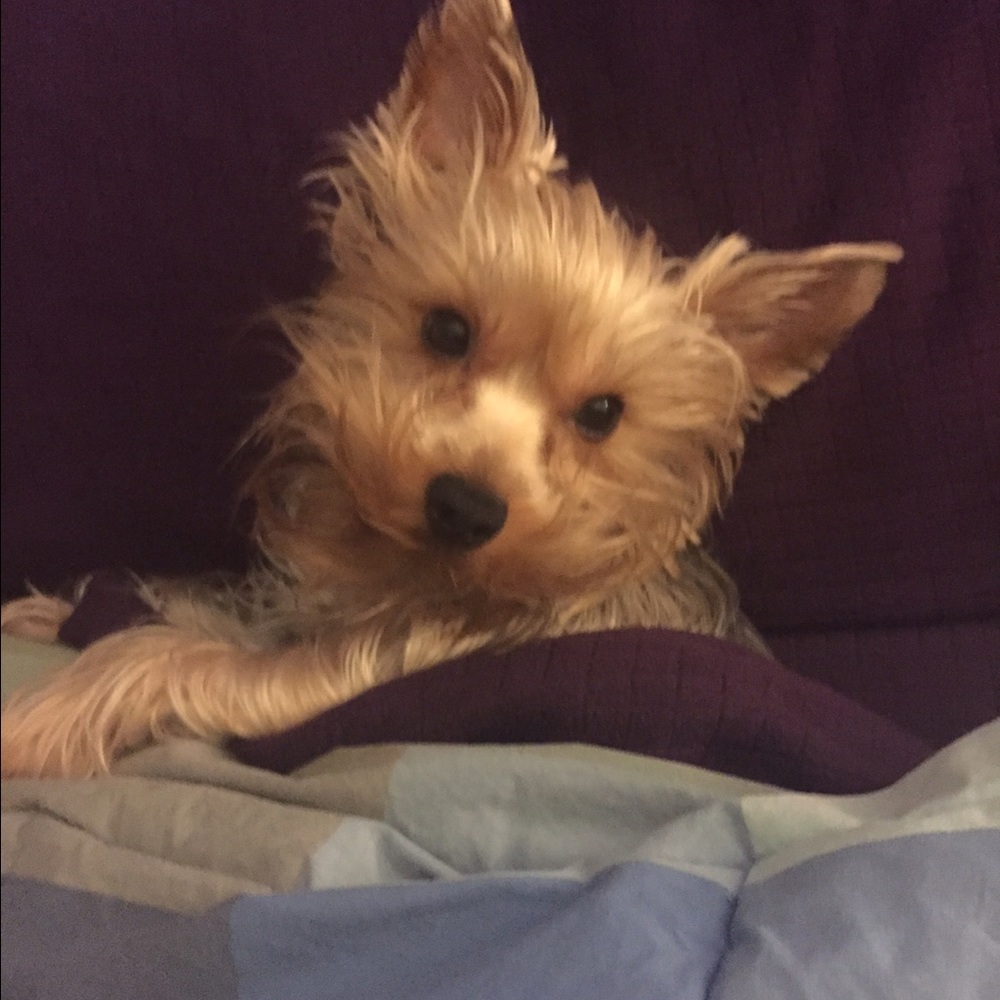 Meet your Posher, Sarah