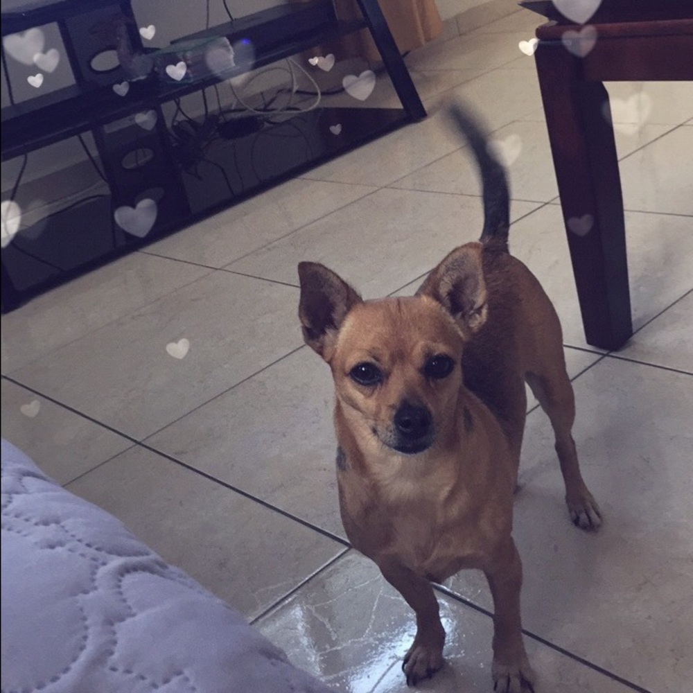 Create a Bundle & Make an Offer ✨