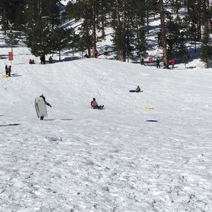 Meet your Posher, Olga