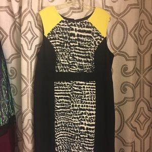 Calvin Klein Colorblock sheath