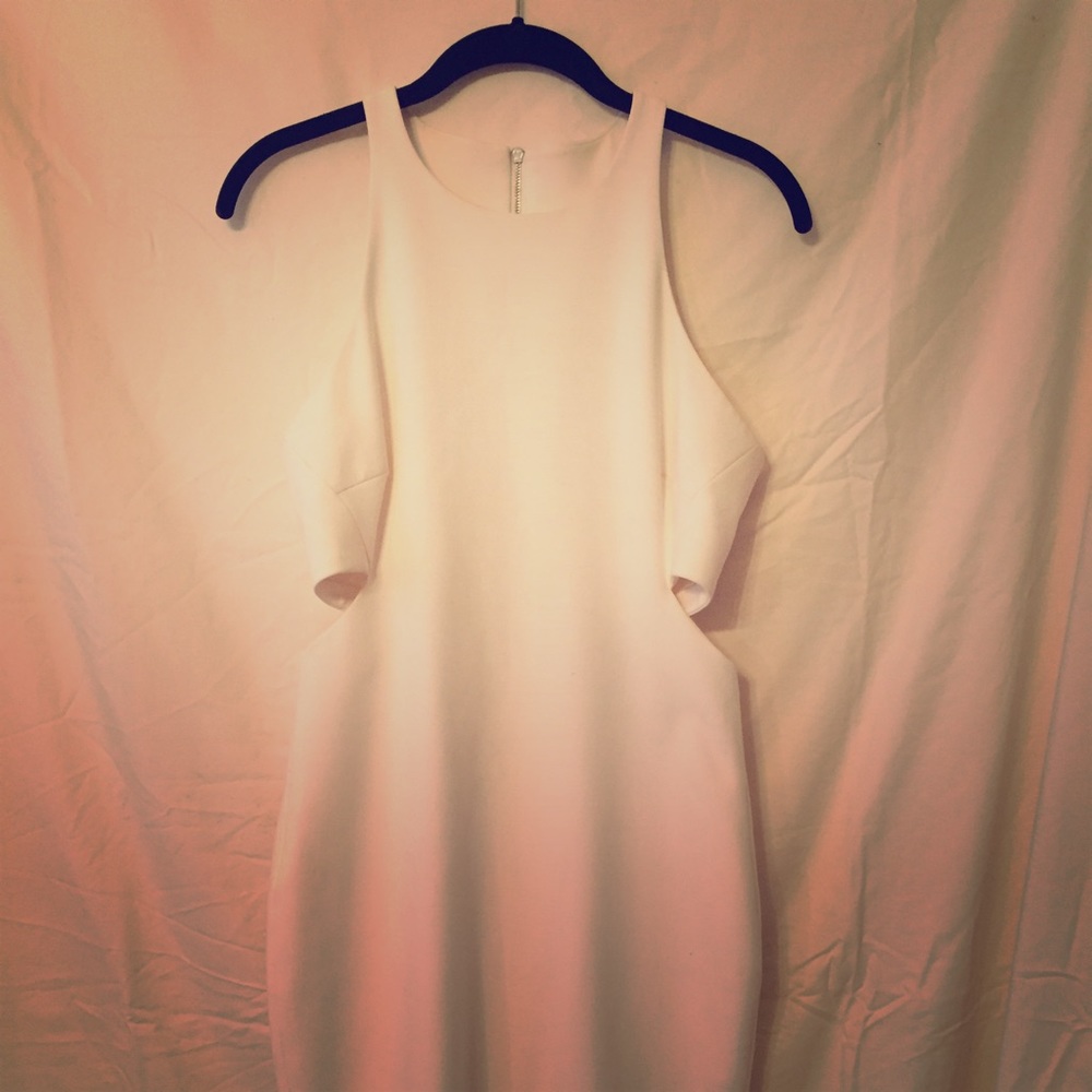 Amazing perfect fit dress by Elizabeth and James